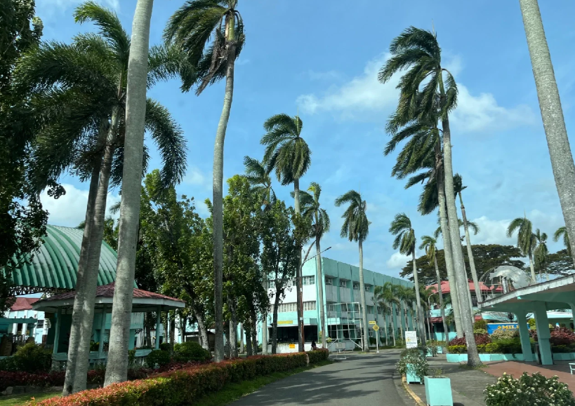 菲律賓遇到地震該怎么辦(地震頻發(fā)的原因)