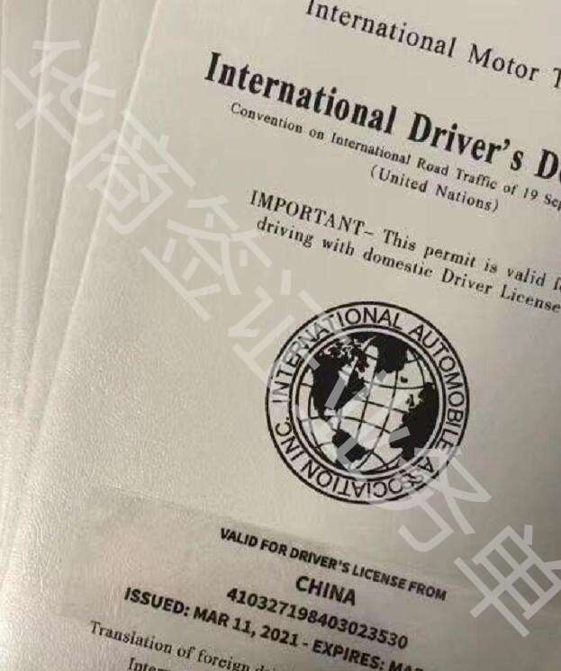 菲律賓駕照國際駕照?qǐng)D片樣式