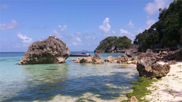 菲律賓宿霧薄荷島天氣(宿務跳島游玩攻略)