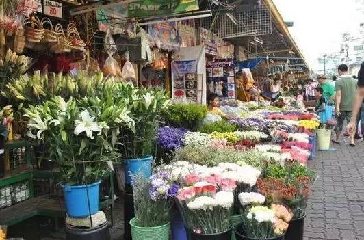 菲律賓首都花市