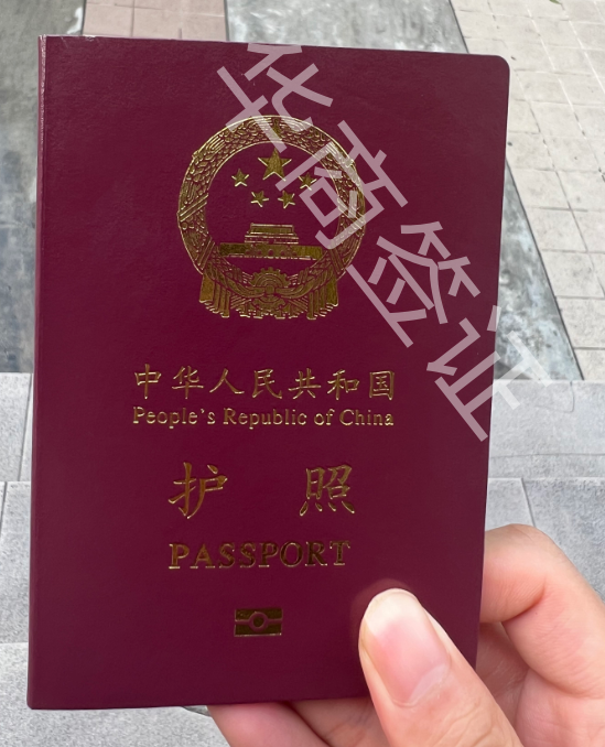 沒護照可以回國嗎