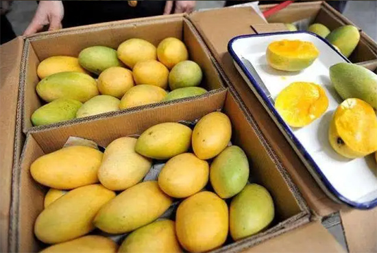 菲律賓長灘島吃烤乳豬(長灘島美食)
