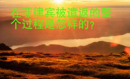 在菲律賓被遣返的整個過程是怎樣的？