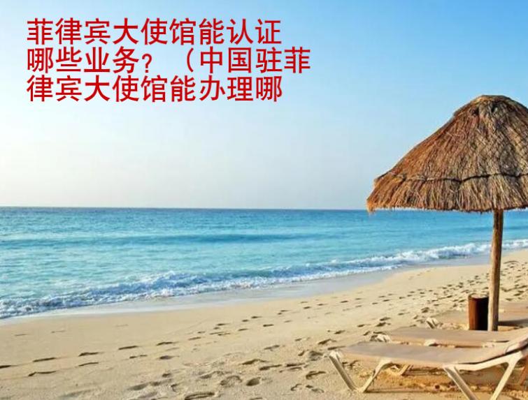 菲律賓大<strong>使館</strong>能認證哪些業(yè)務(wù)
