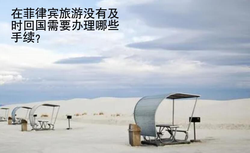 在菲律賓旅游沒有及時(shí)回國(guó)需要辦理哪些手續(xù)？