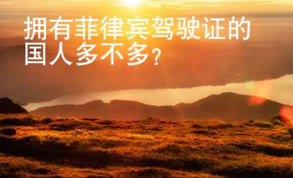擁有菲律賓駕駛證的國人多不多？