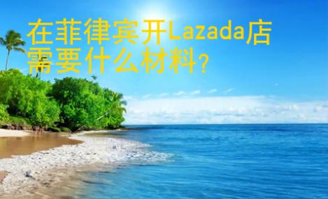 在菲律賓開<strong>L</strong>azada店需要什么材料