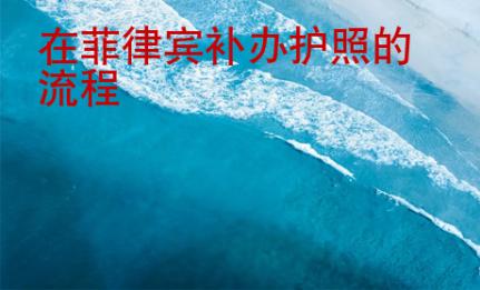 在菲律賓<strong>補(bǔ)辦</strong>護(hù)照的流程