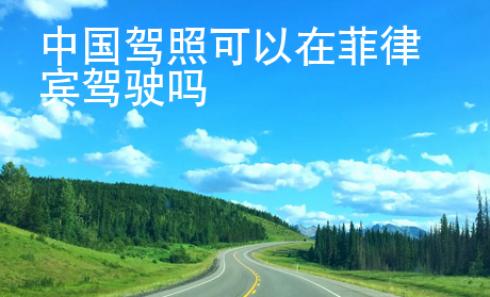 中國(guó)駕照可以在菲律賓駕駛嗎
