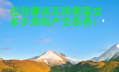 在菲律賓買房需要交多少房地產(chǎn)交易費