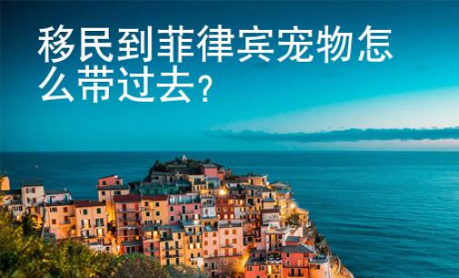移民到菲律賓寵物怎么帶過(guò)去？