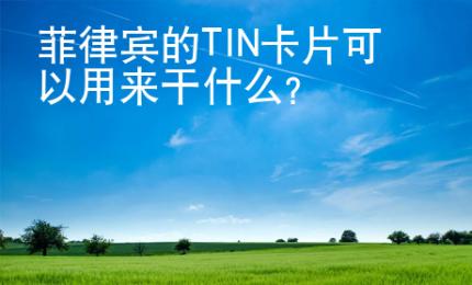 菲律賓的TIN卡片可以用來干什么