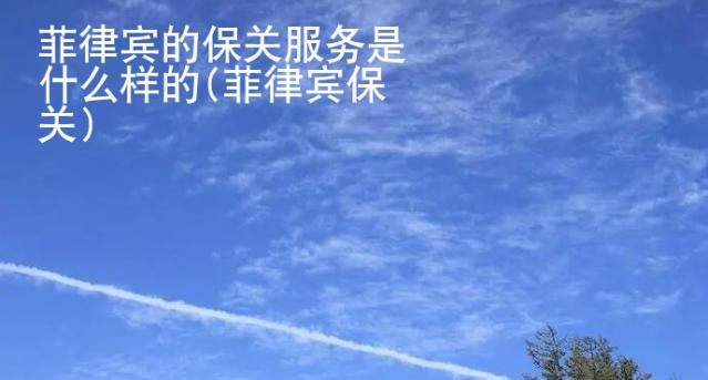 菲律賓的保關(guān)服務(wù)是什么樣的(菲律賓保關(guān))