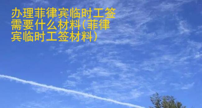 辦理菲律賓臨時(shí)工簽需要什么材料(菲律賓臨時(shí)工簽材料)