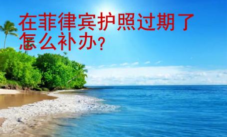在菲律賓護(hù)照過期了怎么補(bǔ)辦
