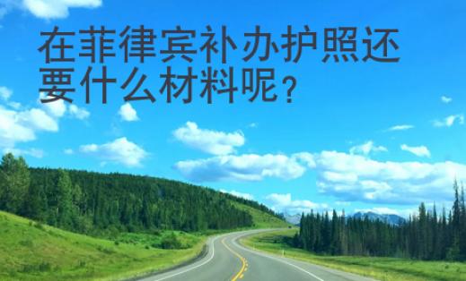 在菲律賓補(bǔ)辦護(hù)照還要什么材料呢