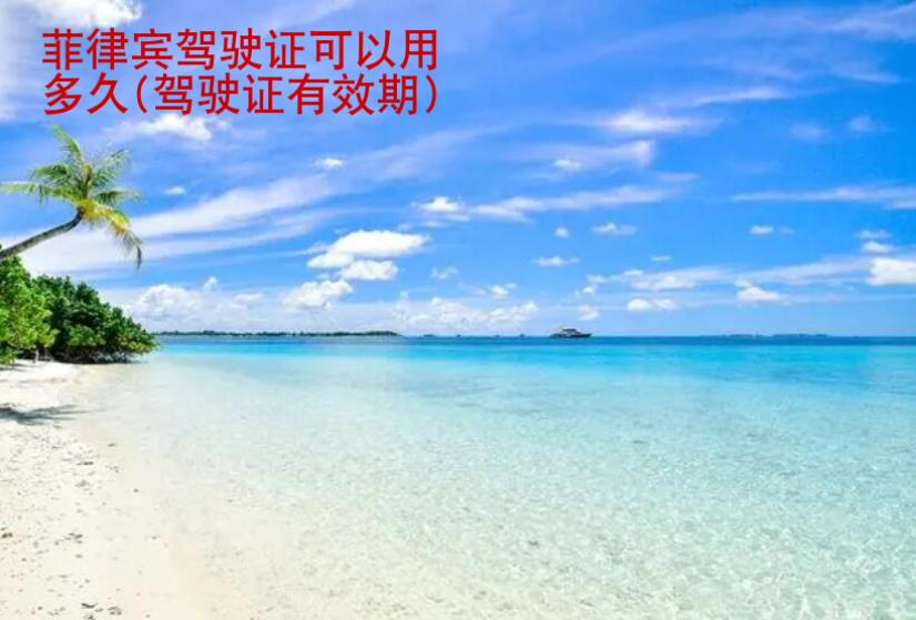 菲律賓駕駛證可以用多久(菲律賓駕駛證有效期介紹)