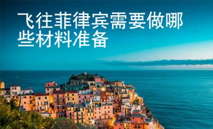 飛往菲律賓需要做哪些材料準(zhǔn)備