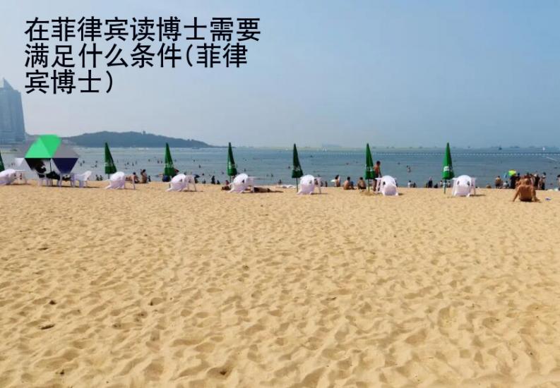 在菲律賓讀博士需要滿足什么條件(菲律賓博士)
