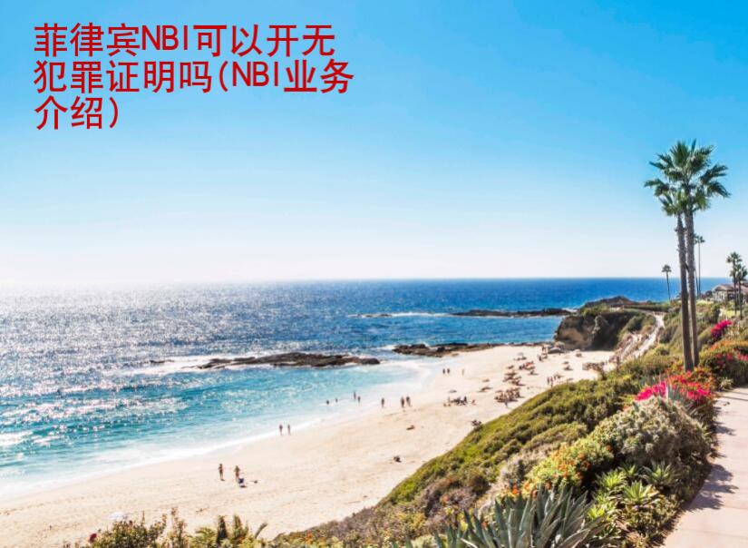 <strong>菲律賓</strong>NBI可以開無犯罪證明嗎(NBI業(yè)務(wù)介紹)
