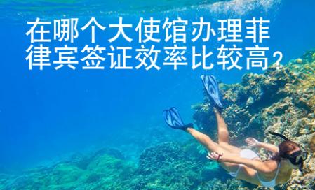 在哪個大使館辦理菲律賓簽證效率比較高？
