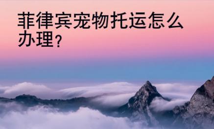 菲律賓寵物托運怎么辦理？