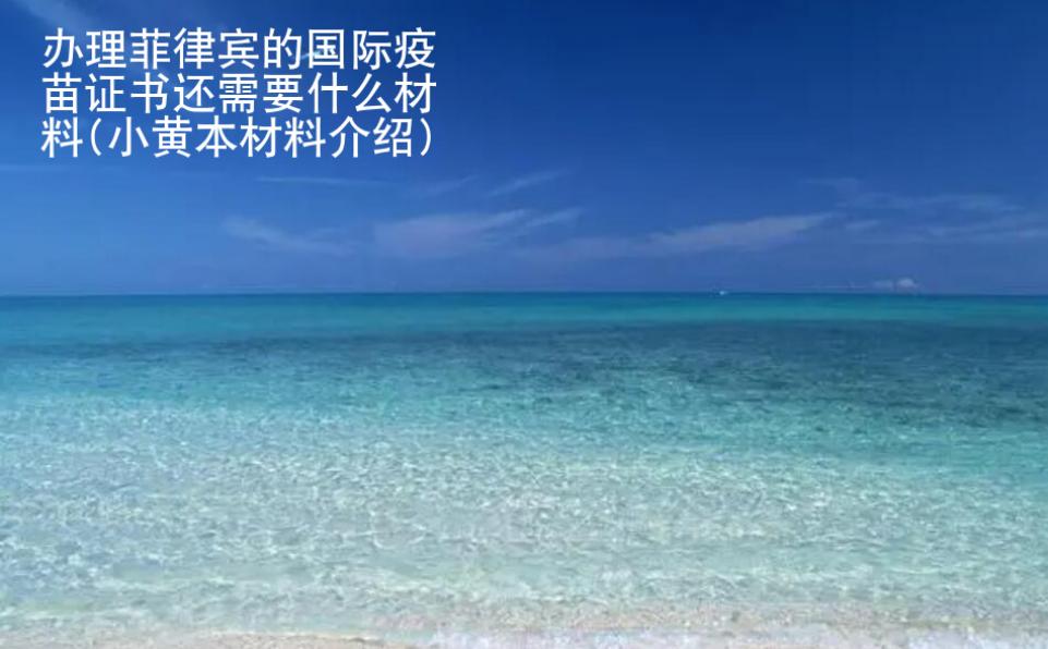 辦理菲律賓的國際疫苗證書還需要什么材料(小黃本材料介紹)