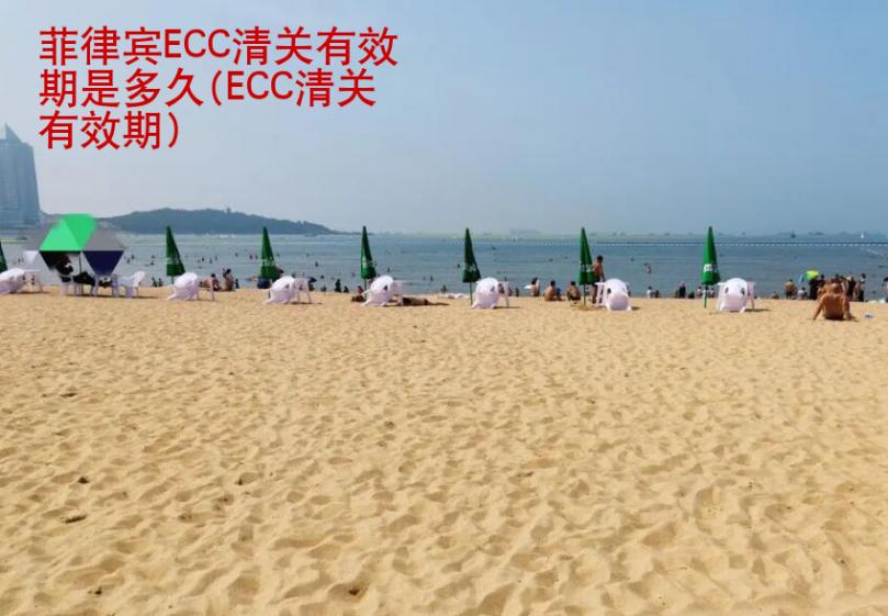 菲律賓ECC清關<strong>有效期</strong>是多久(ECC清關有效期)