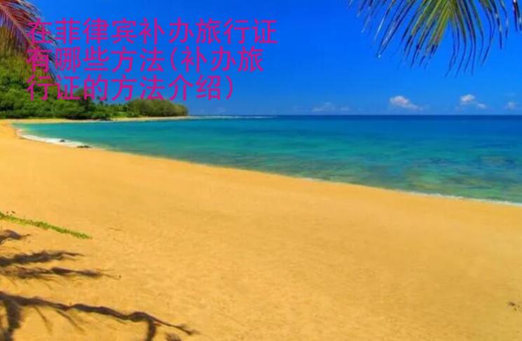 在菲律賓補(bǔ)辦旅行證有哪些方法(補(bǔ)辦旅行證的方法<strong>介紹</strong>)