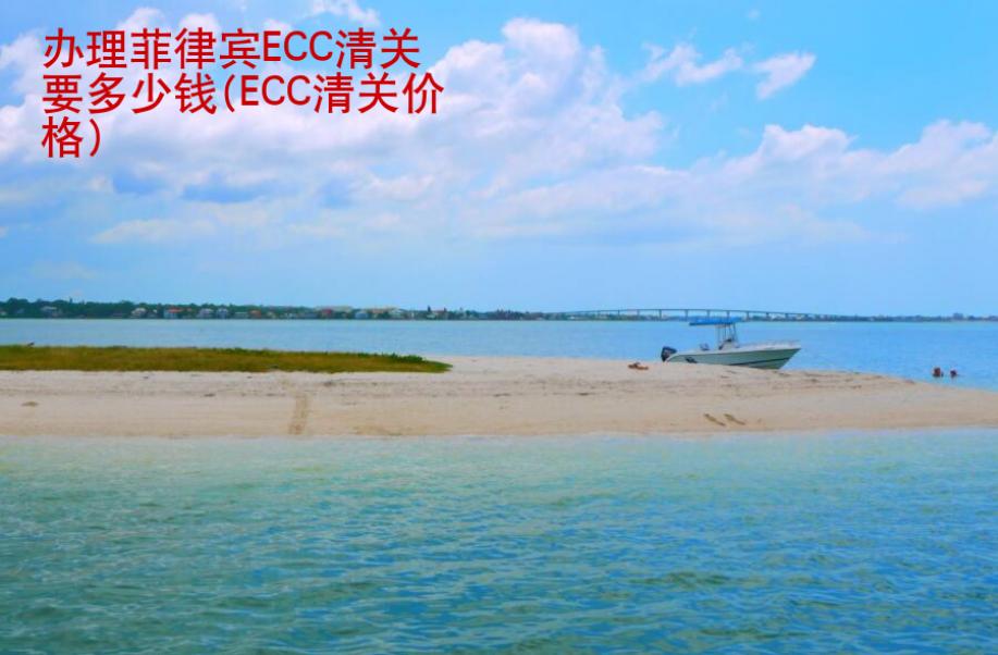 辦理菲律賓ECC清<strong>關(guān)要</strong>多少錢(ECC清關(guān)價(jià)格)