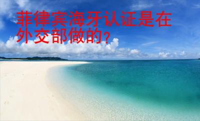 菲律賓<strong>海牙</strong>認(rèn)證是在外交部做的