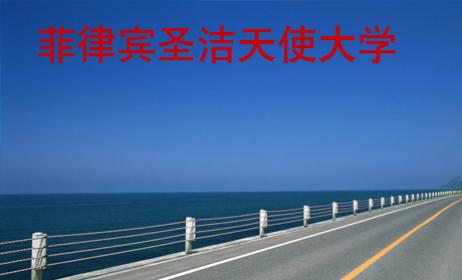 菲律賓圣潔天使大學(xué)