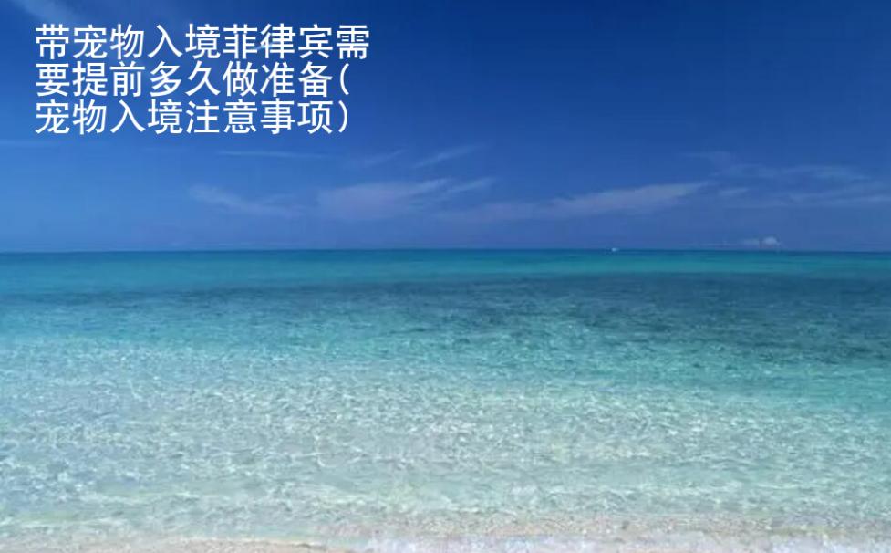 帶寵物入境菲律賓需要提前多久做準(zhǔn)備(寵物入境注意事項)