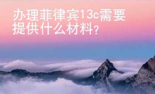 辦理菲律賓13c需要提供什么材料？