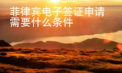 菲律賓電子簽證申請(qǐng)需要什么條件