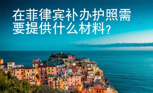 在菲律賓補(bǔ)辦護(hù)照需要提供什么材料？