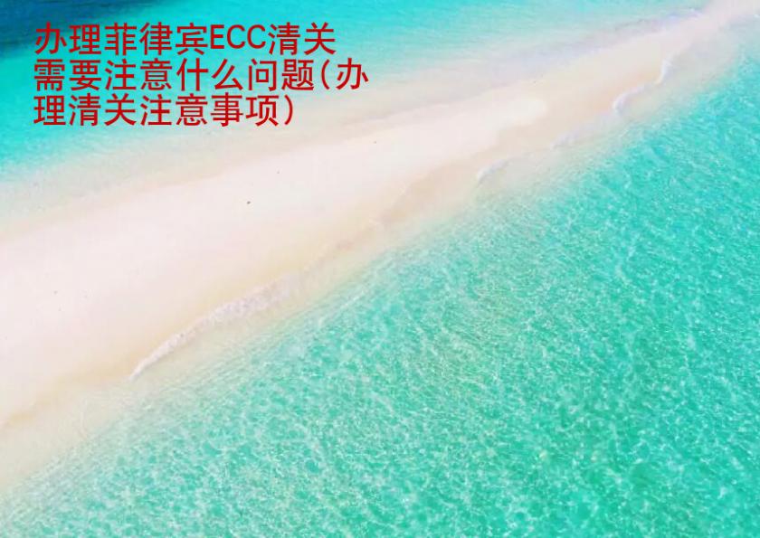 辦理菲律賓ECC清關(guān)需要注意<strong>什么</strong>問題(辦理清關(guān)注意事項(xiàng))