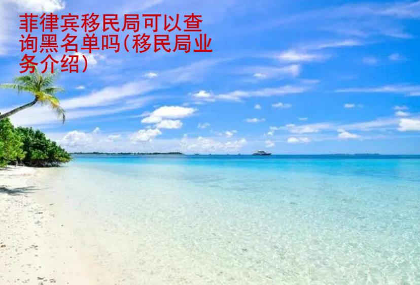 菲律賓移民局可以查詢黑名單嗎(移民局業(yè)務介紹)