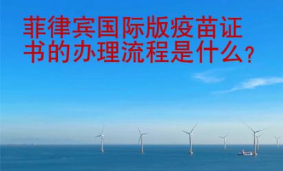菲律賓國際版疫苗證書的辦理流程是什么？
