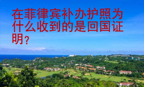 在菲律賓補(bǔ)辦護(hù)照為什么收到的是回國證明