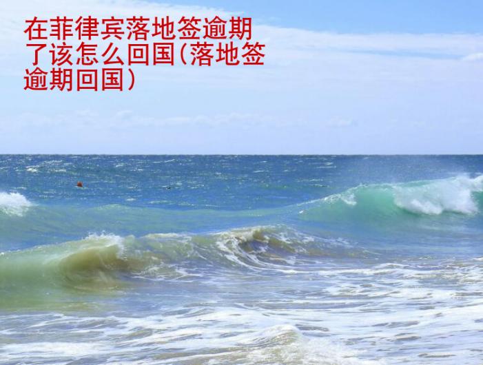 在<strong>菲律賓</strong>落地簽逾期了該怎么回國(guó)(落地簽逾期回國(guó))