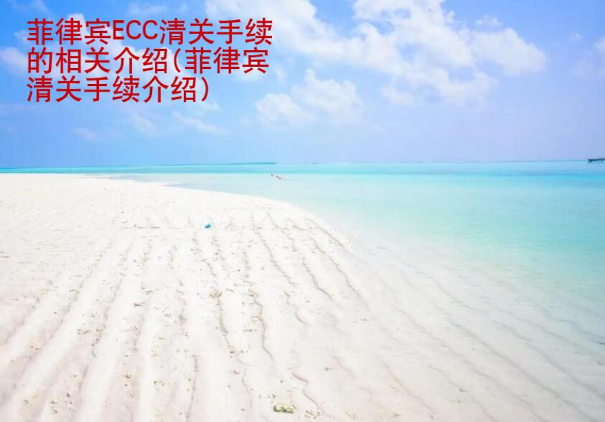 菲律賓ECC清關(guān)手續(xù)的相關(guān)介紹(菲律賓ECC清關(guān)介紹)
